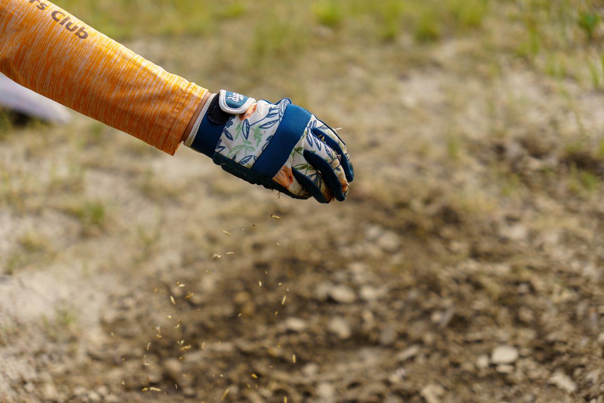 4th Annual 3 Days 3 Parks Volunteer Event cover image