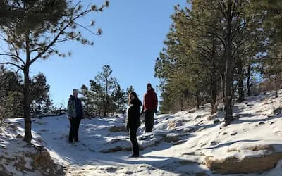 Three hikers pausing on a snowy trail among pines