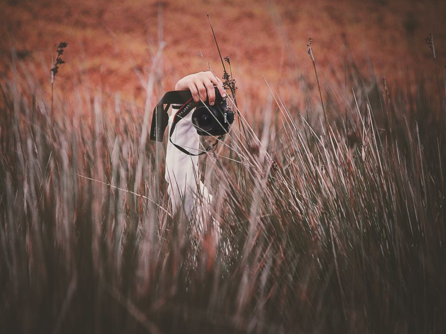 Person taking a photo of grasses