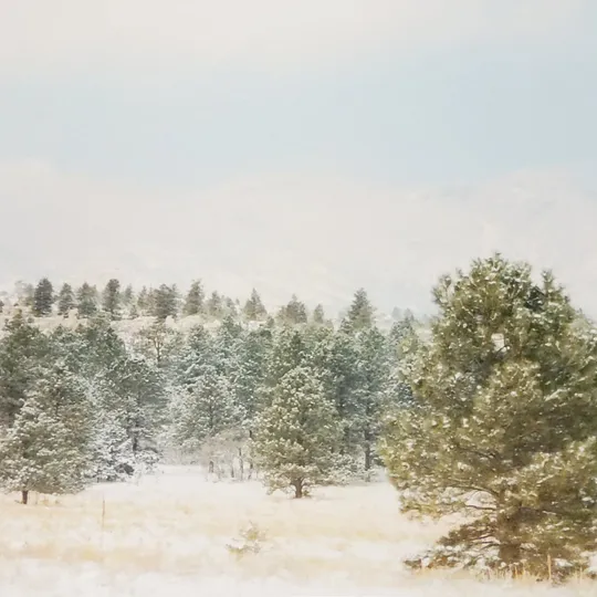 Historic Ute Valley Park photo 1