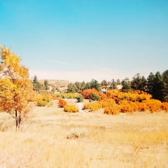 Historic Ute Valley Park photo 10
