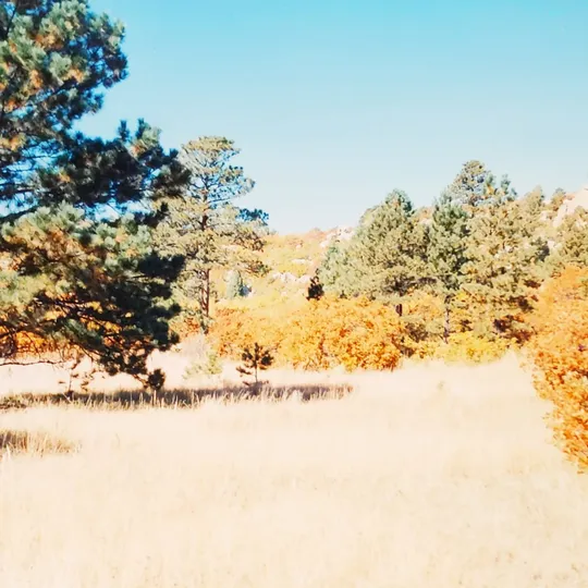 Historic Ute Valley Park photo 11