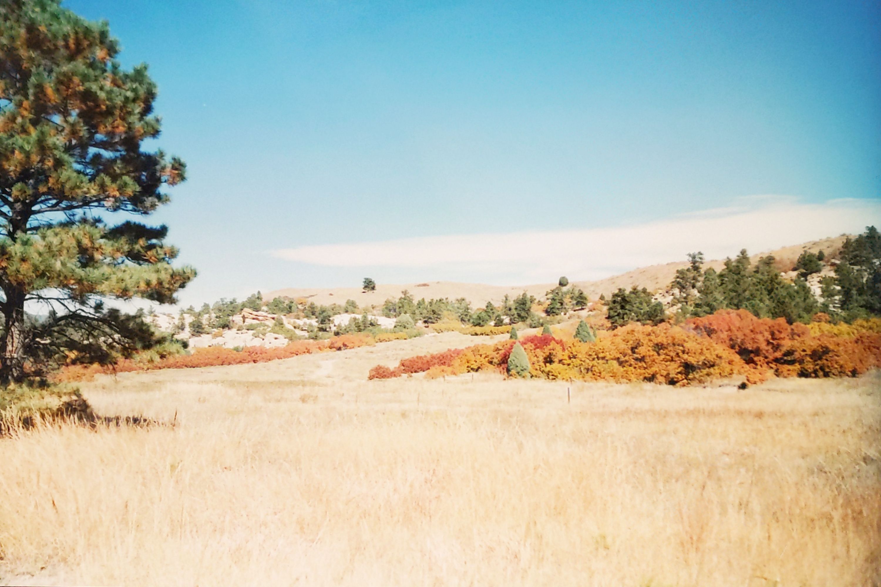 Historic Ute Valley Park photo 12