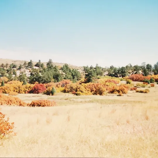 Historic Ute Valley Park photo 13