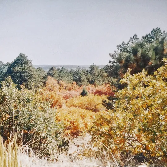 Historic Ute Valley Park photo 15