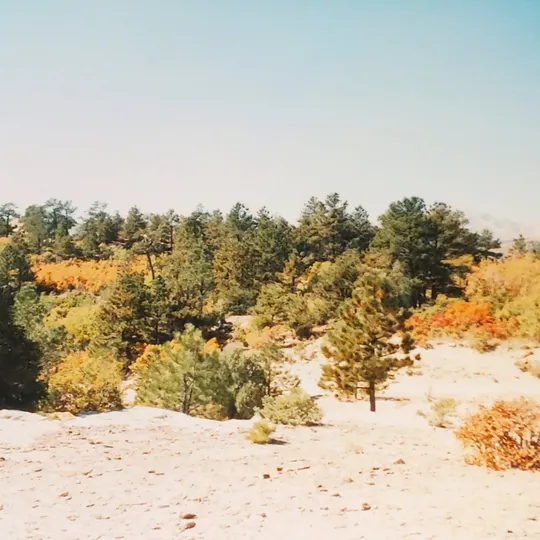 Historic Ute Valley Park photo 16