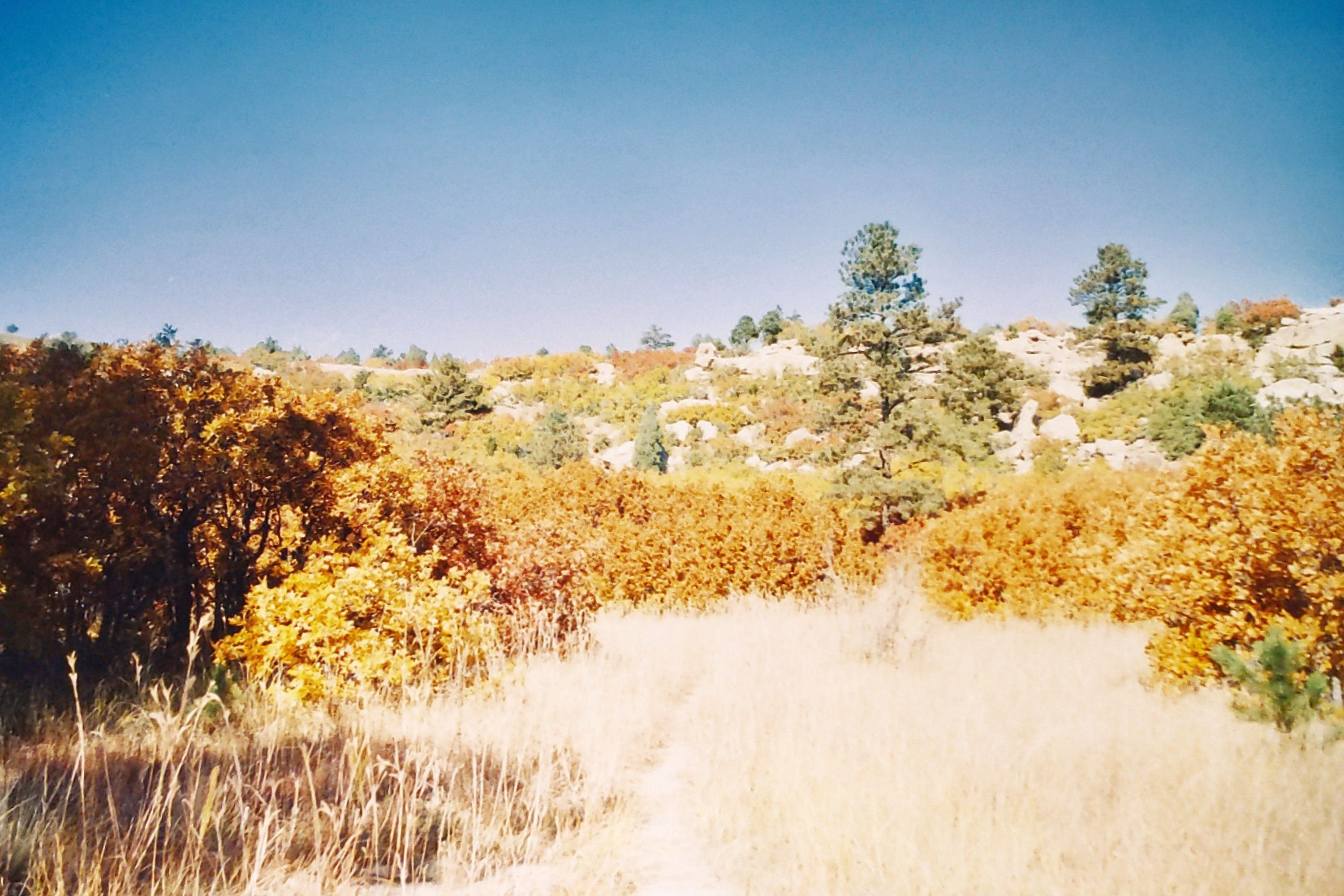 Historic Ute Valley Park photo 18