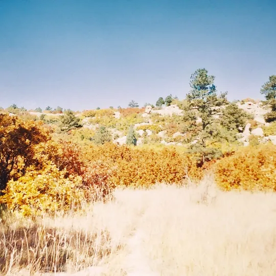 Historic Ute Valley Park photo 18