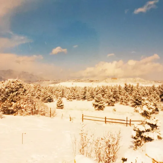 Historic Ute Valley Park photo 2