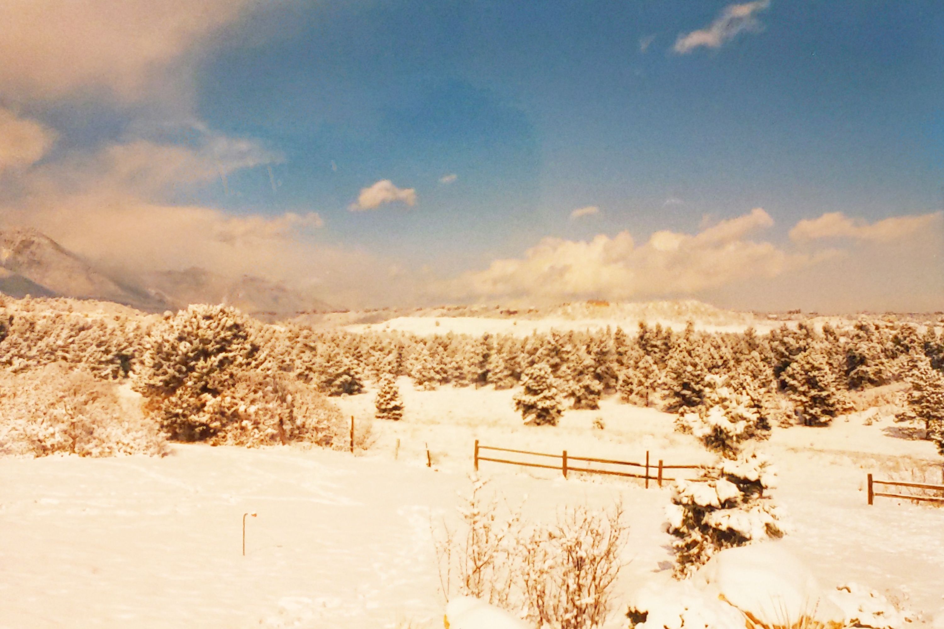 Historic Ute Valley Park photo 2