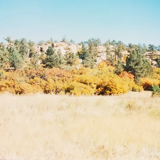 Historic Ute Valley Park photo 20