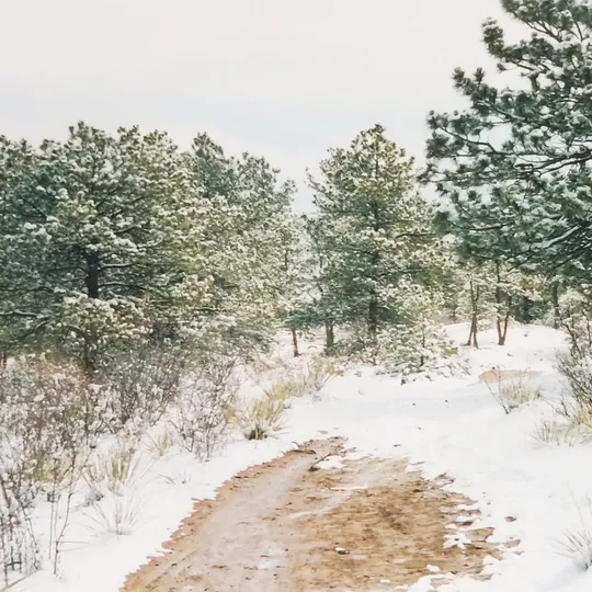Historic Ute Valley Park photo 23