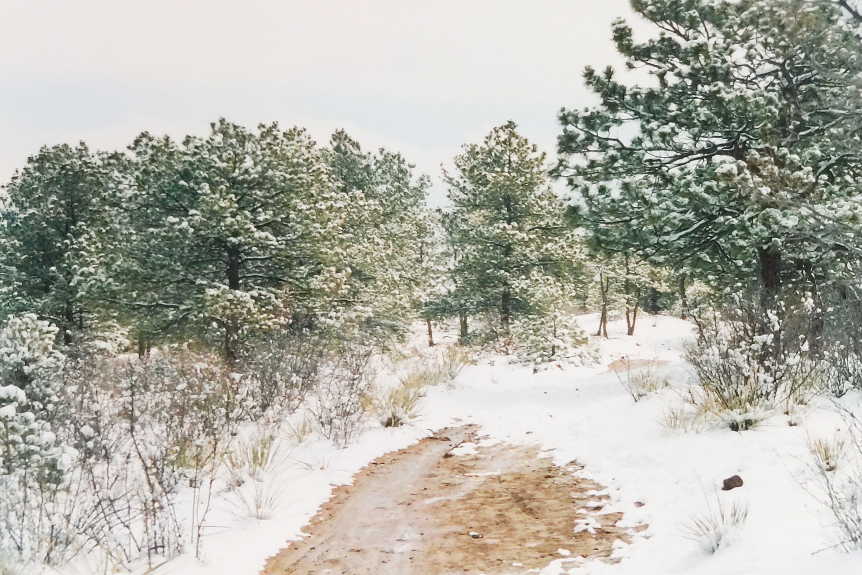 Historic Ute Valley Park photo 23