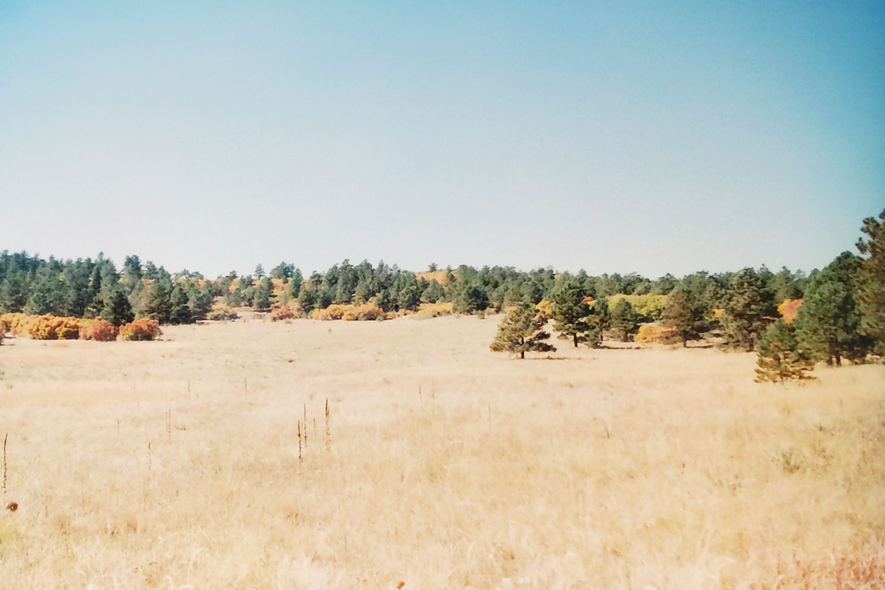 Historic Ute Valley Park photo 3