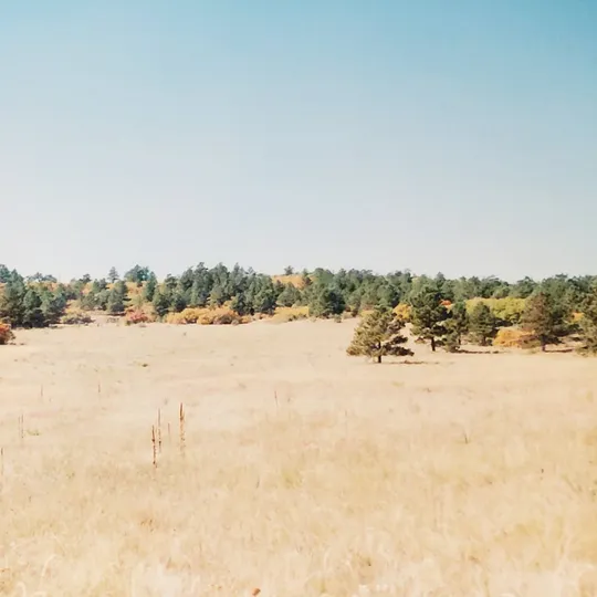 Historic Ute Valley Park photo 3