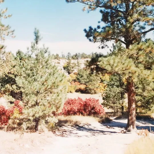 Historic Ute Valley Park photo 4