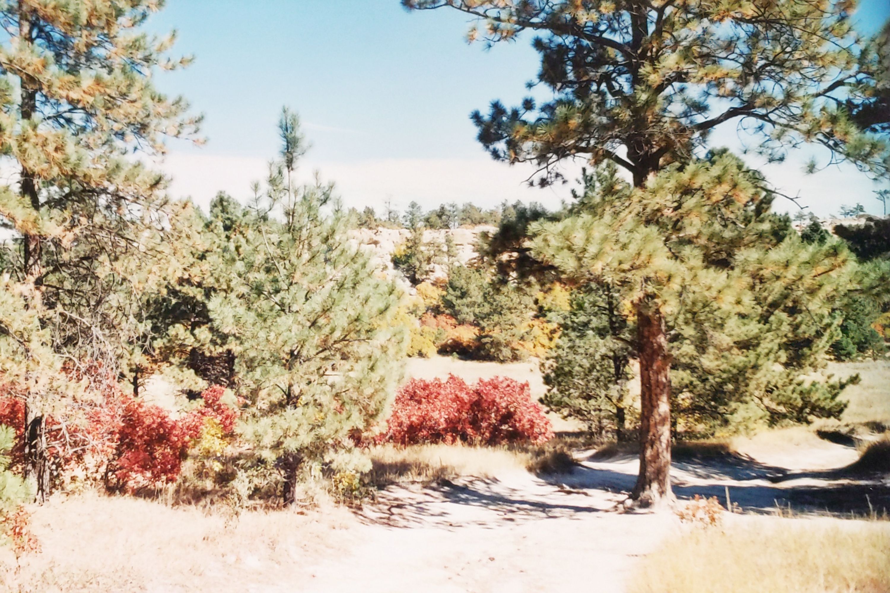 Historic Ute Valley Park photo 4