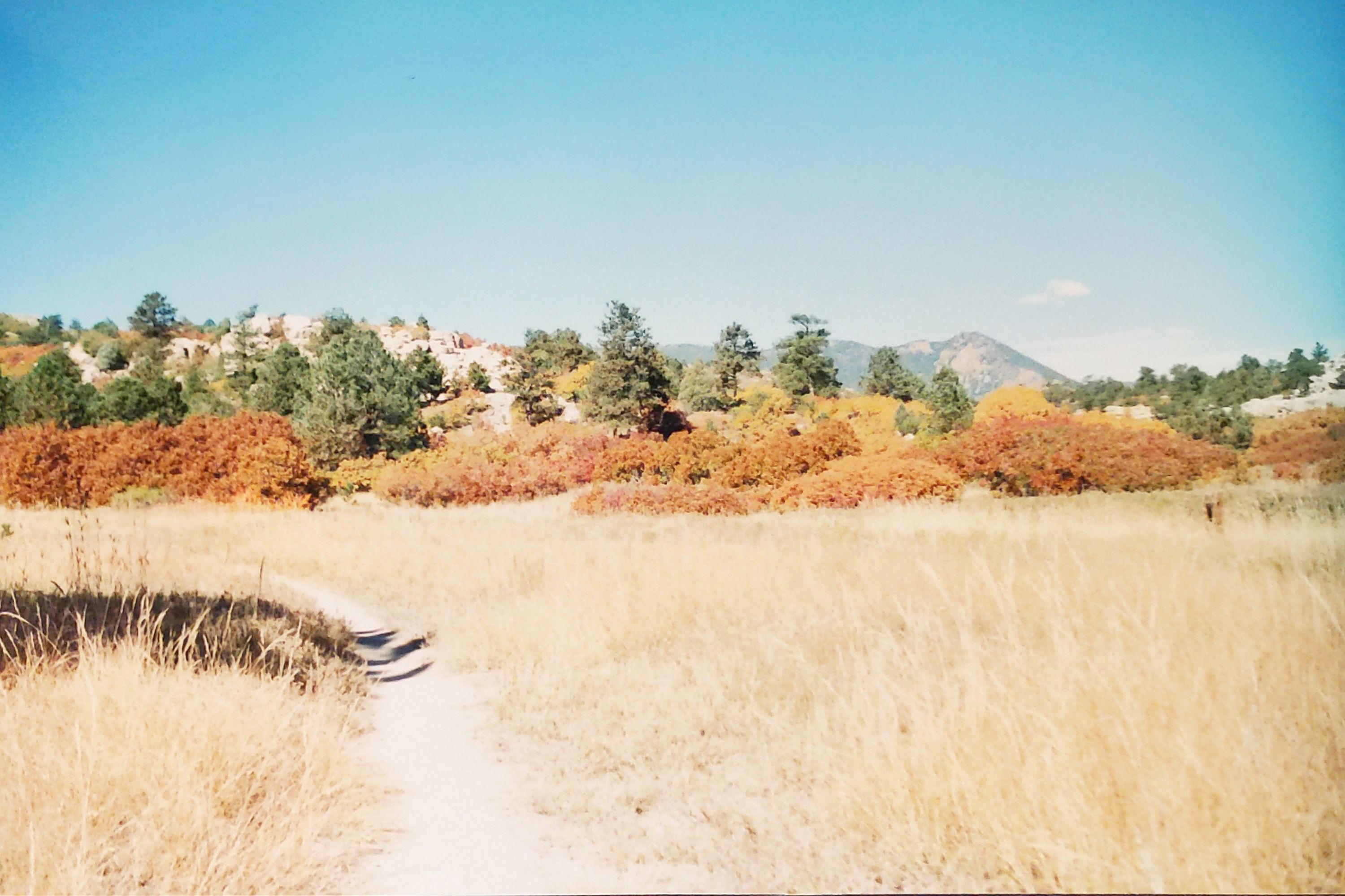 Historic Ute Valley Park photo 5