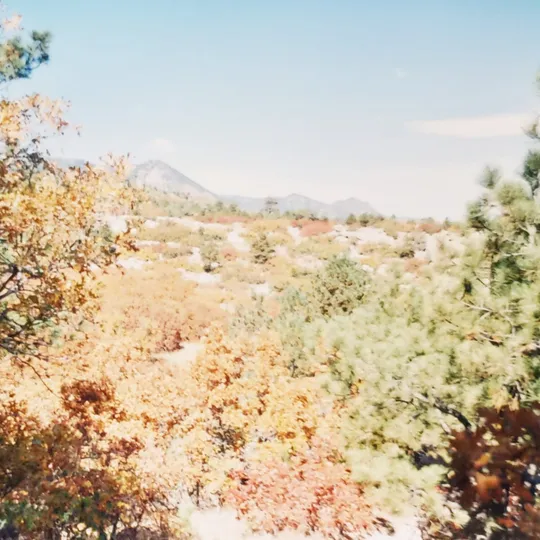 Historic Ute Valley Park photo 6