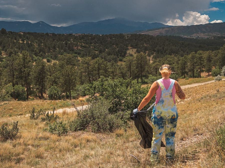 Volunteers help remove invasive plants at Ute Valley Park cover image