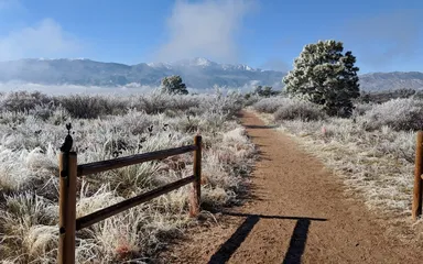Palmer Park