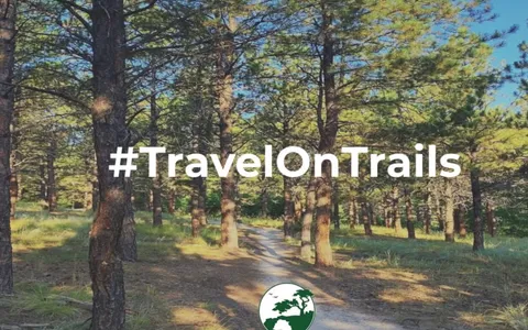 Travel on trails to protect Ponderosa pine roots