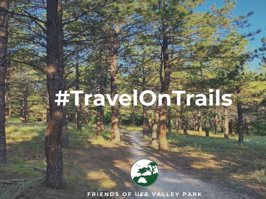 Travel on trails to protect Ponderosa pine roots cover image