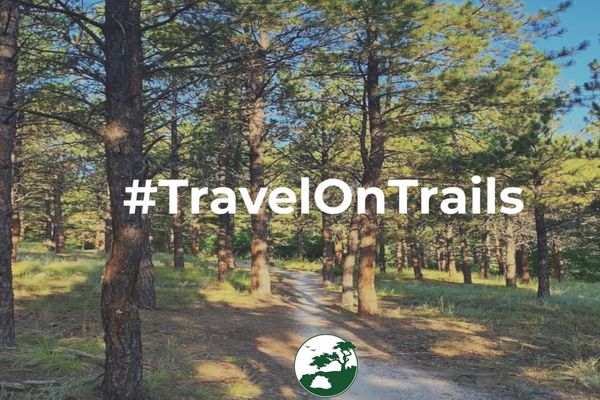 Travel on trails to protect Ponderosa pine roots