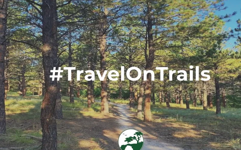 Travel on trails to protect Ponderosa pine roots