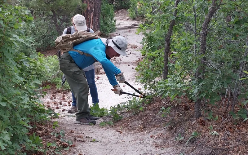 Rattlesnake Ridge corridor clearing moves forward