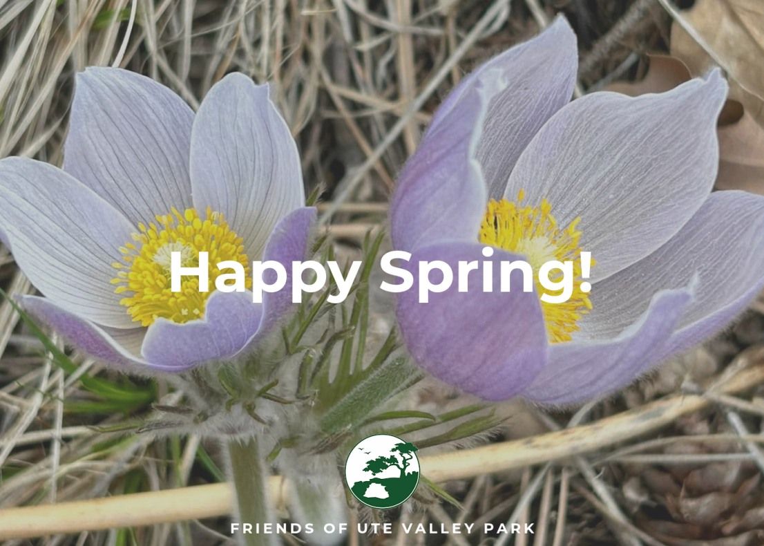 Spring arrives with new growth and new FUVP leadership cover image