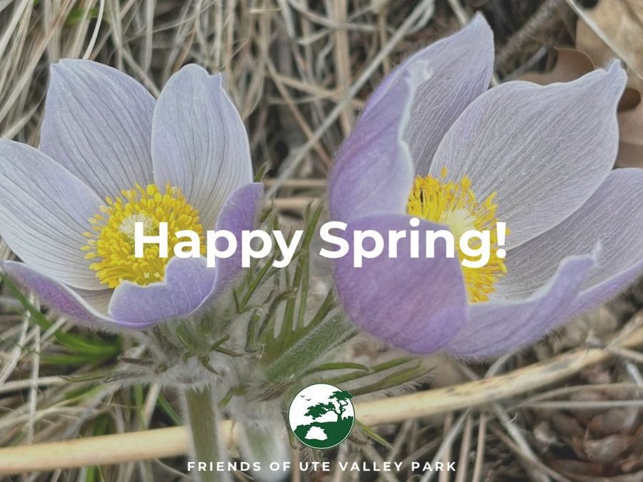 Spring arrives with new growth and new FUVP leadership cover image
