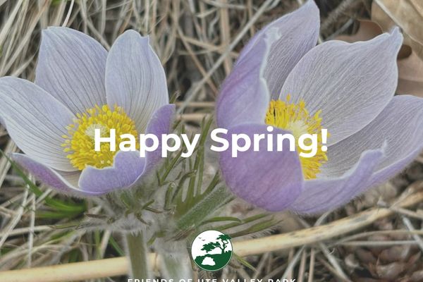 Spring arrives with new growth and new FUVP leadership