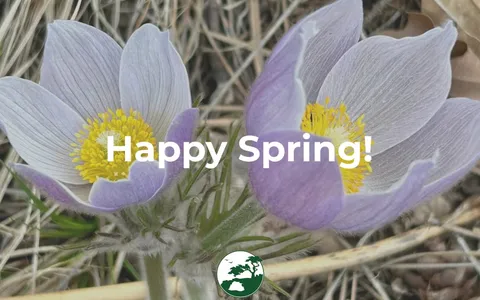 Spring arrives with new growth and new FUVP leadership