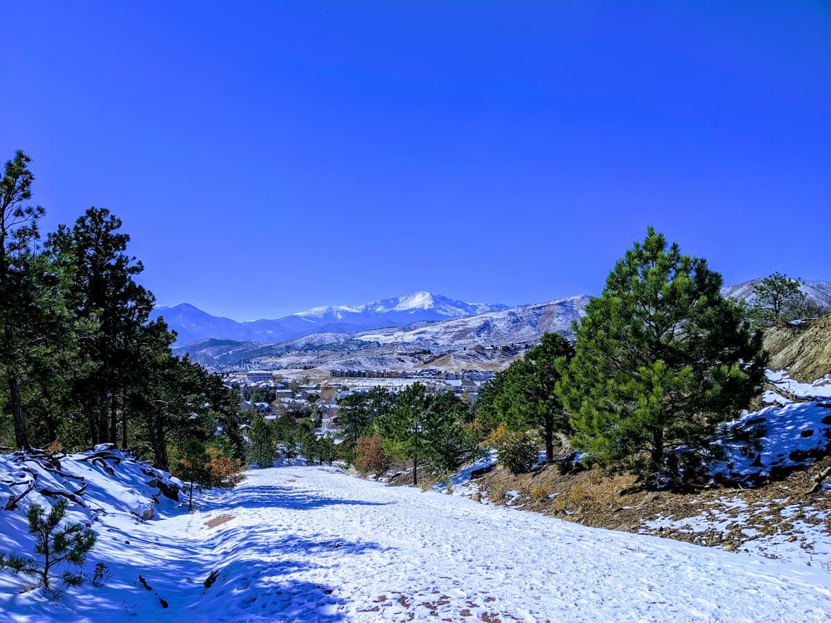 2022 Volunteer Update cover image