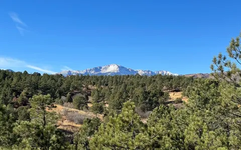 Friends of Ute Valley Park Year End Review