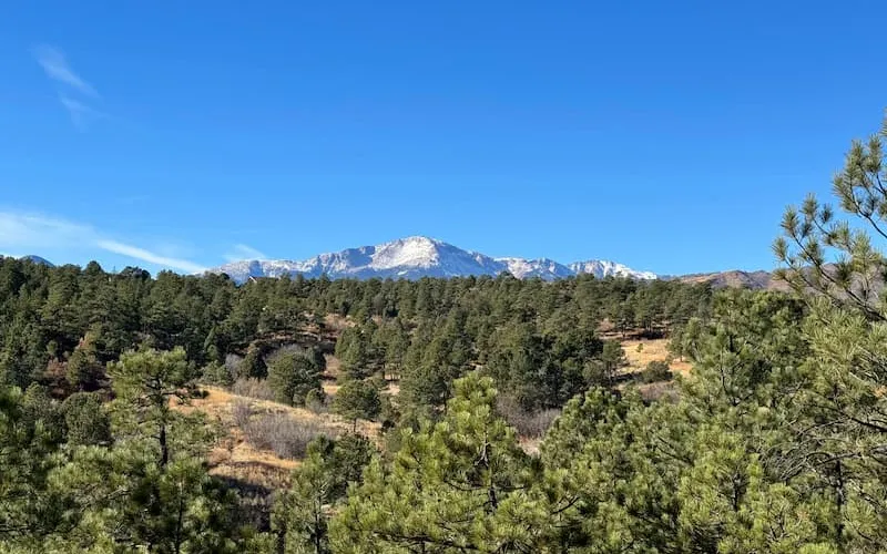 Friends of Ute Valley Park Year End Review