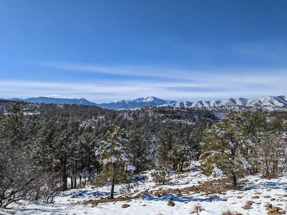 Upcoming Volunteer events in Ute Valley Park and Vote Yes on TOPS Renewal!  cover image