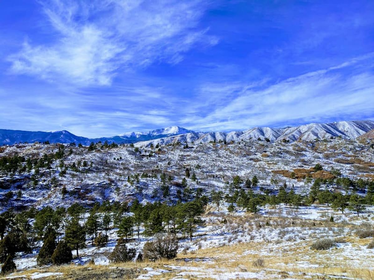 Much to be thankful for in 2020 in Ute Valley Park cover image