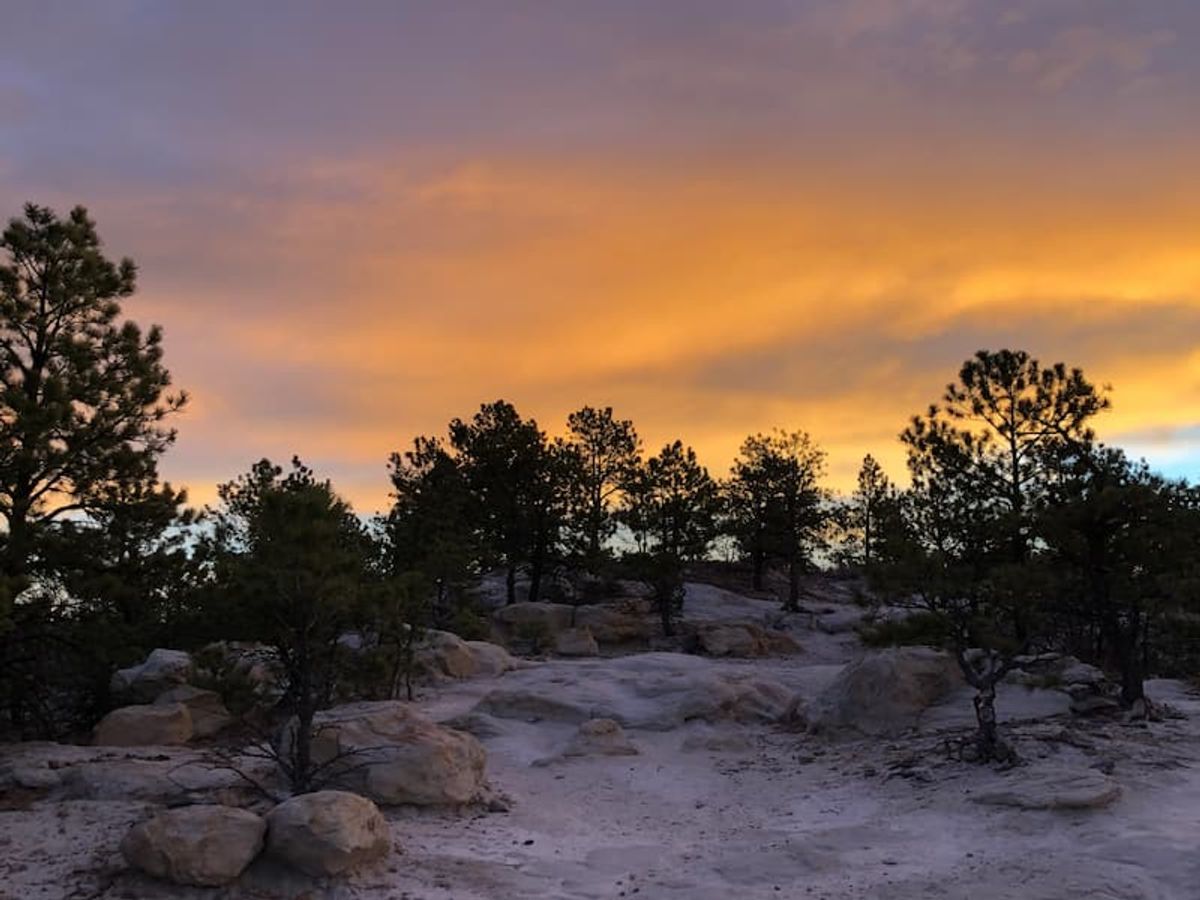 Changes afoot at Ute Valley Park cover image