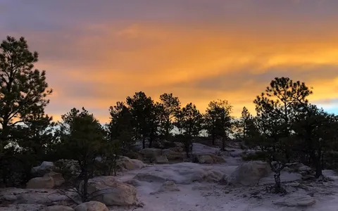 Changes afoot at Ute Valley Park