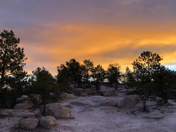 Changes afoot at Ute Valley Park cover image
