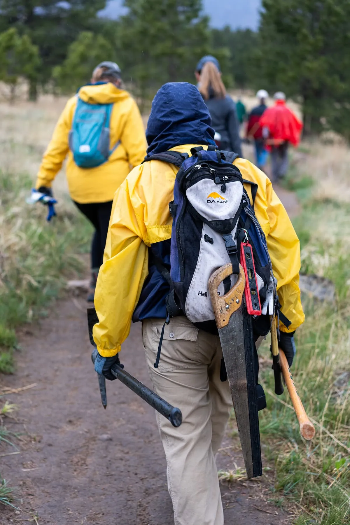 Volunteers in action